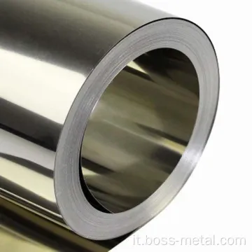 Striscia di fogli di titanio componente del settore con shell